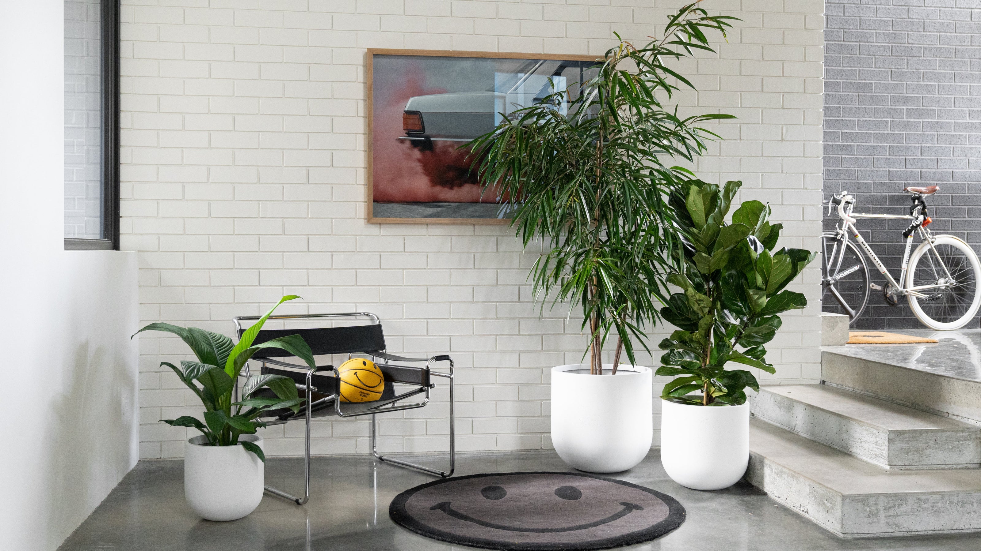 Grow Your Perfect Perth Oasis